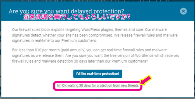 Are you sure you want delayed protection?（日本語：遅延保護を実行してもよろしいですか?）という画面が表示されますのでOKのクリックを押すことを促す画像